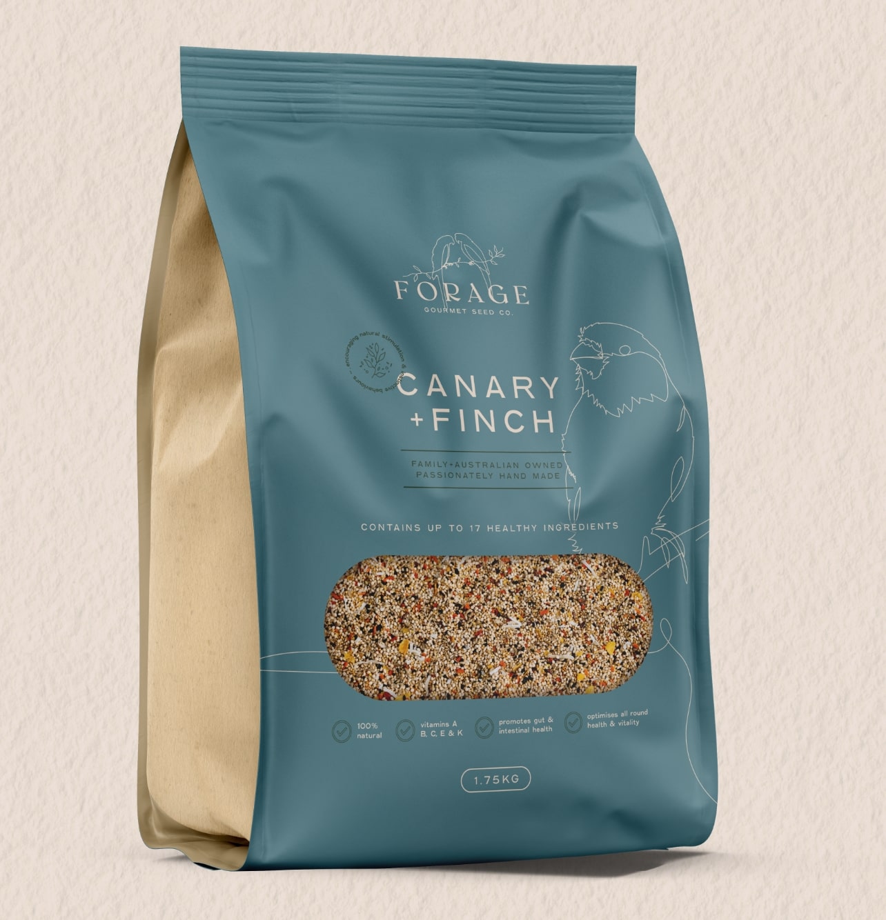 the-graphic-design-company-portfolio-forage17-min