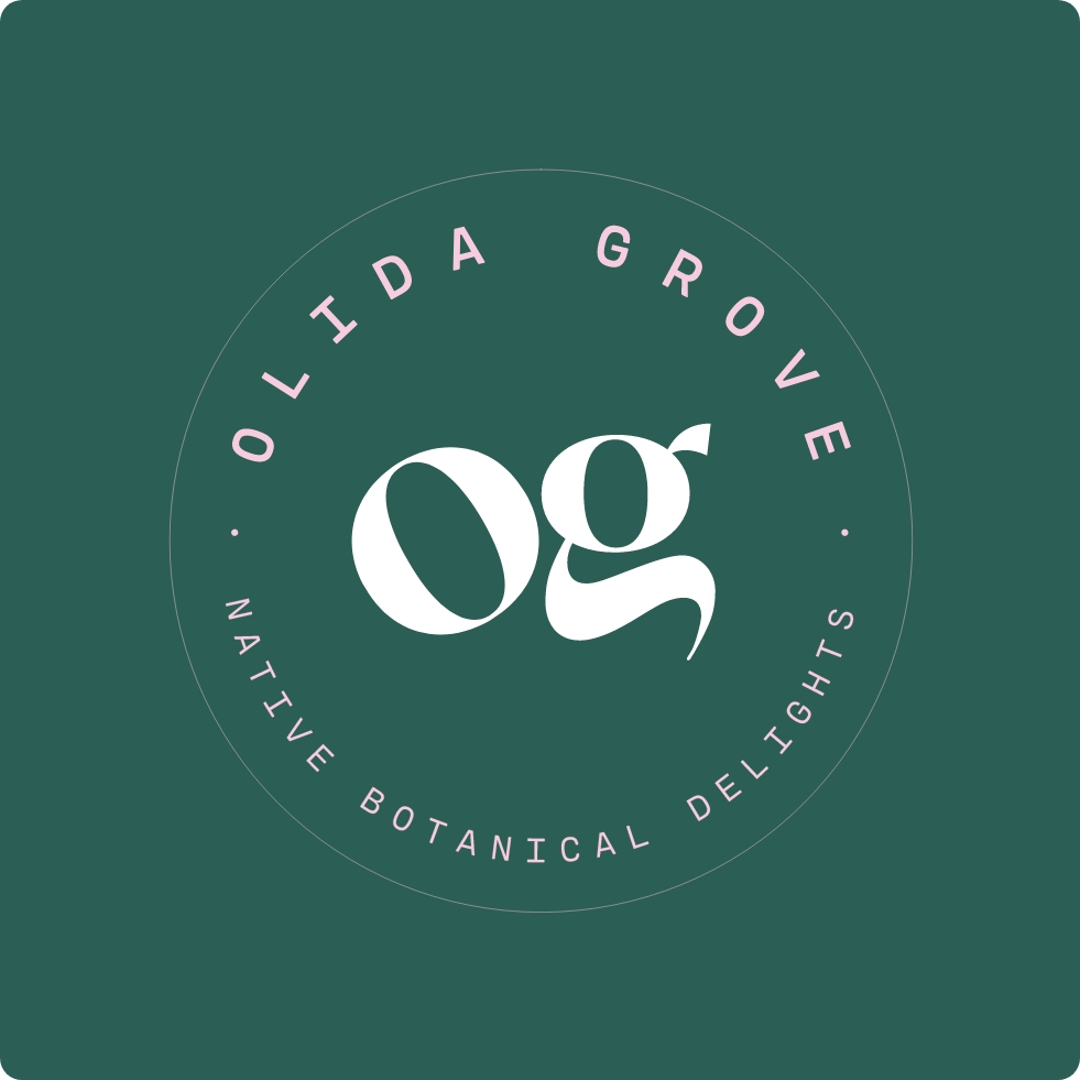the-graphic-design-company-olida-grove