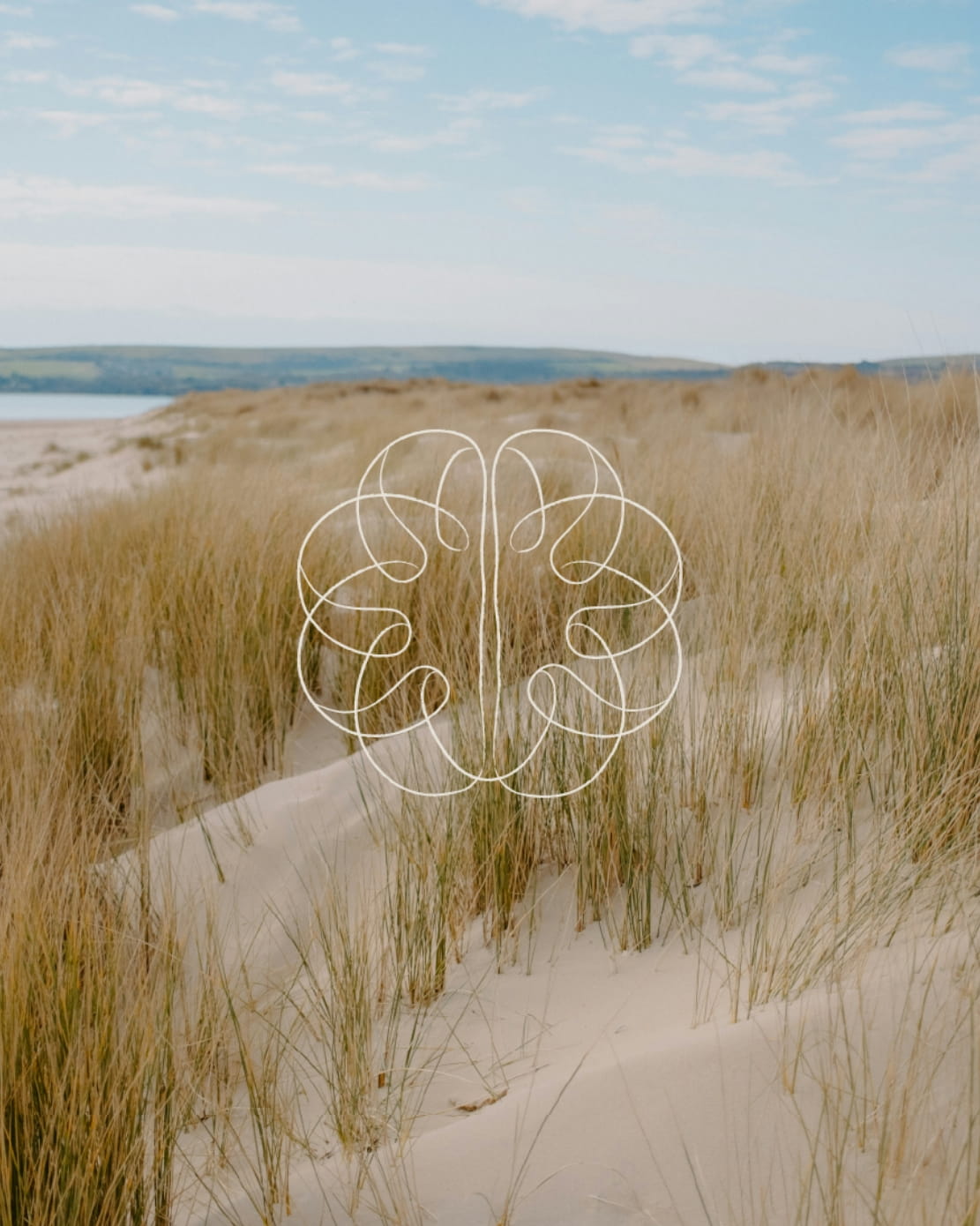 the-graphic-design-company-portfolio8